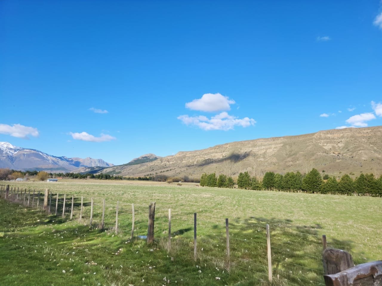 4cce8d04-42b1-4e14-b8b8-af2458044652