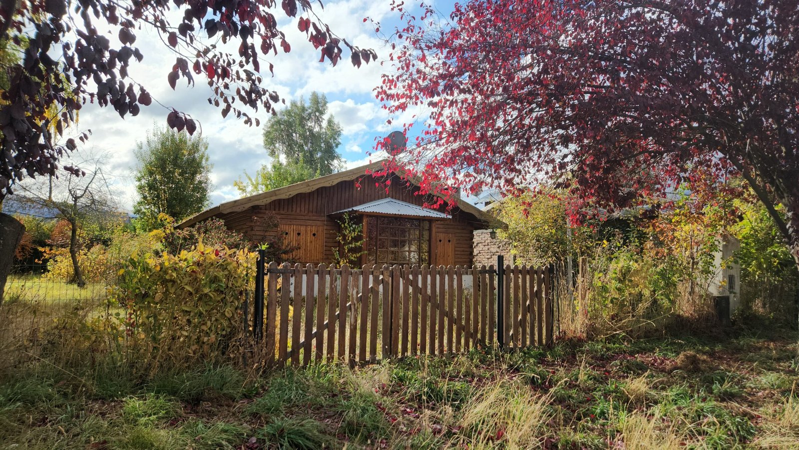 WhatsApp Image 2025-04-23 at 10.48.01 (2)