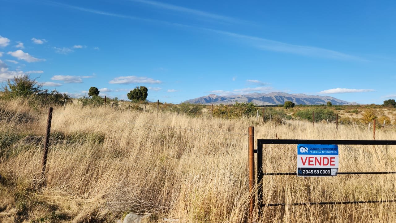 WhatsApp Image 2025-08-27 at 18.24.34